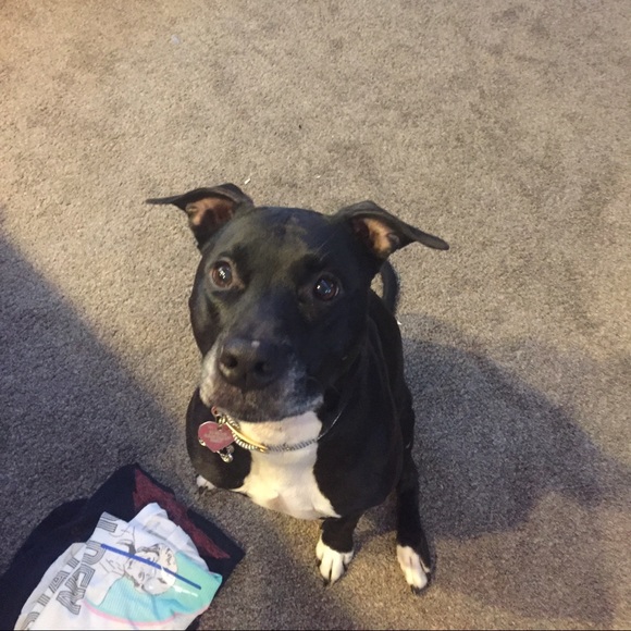 Meet your Posher, Craig - Picture 6 of 8